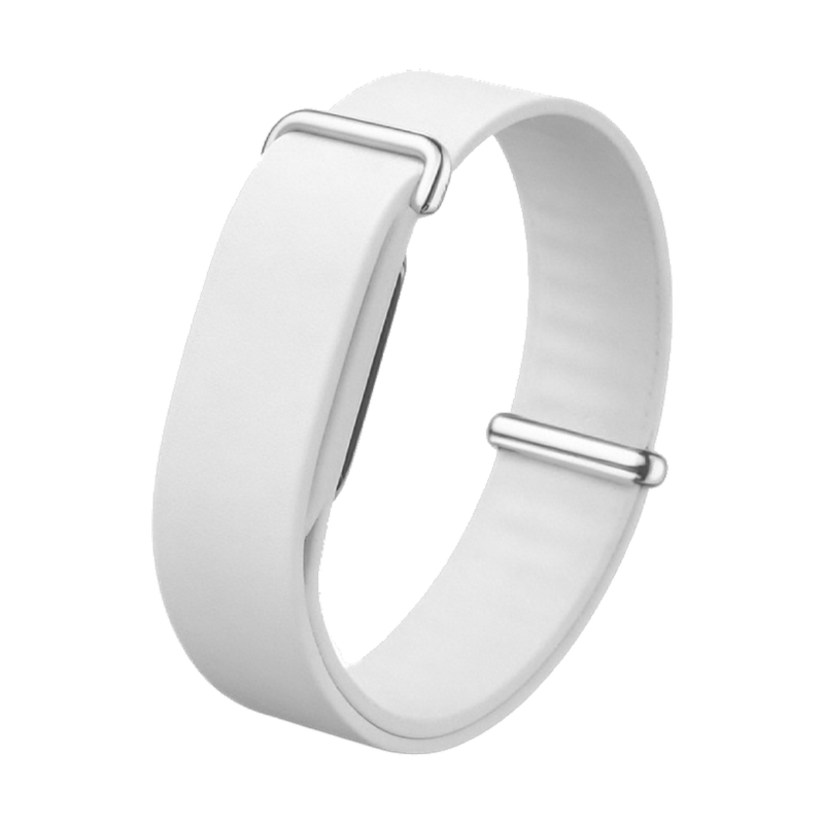 Google Fitbit Air White – Strapco