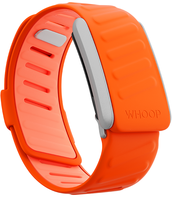 SportFlex Silicone Surge Color Band for WHOOP Bands at Strapco Store  Discover the SportFlex silicone Surge Color band for WHOOP bands at Strapco Store, perfect for enhancing your WHOOP® 4.0 experience.