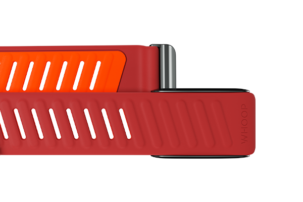 ‫Close-up of the Whoop Sportflex band in red, showcasing premium design and comfort. Explore Whoop bands in Qatar today!"‬
‫"صورة مقربة لسوار ووب سبورتفلكس الأحمر تعرض التصميم المميز والراحة. اكتشف سيور ووب في قطر الآن!"‬
