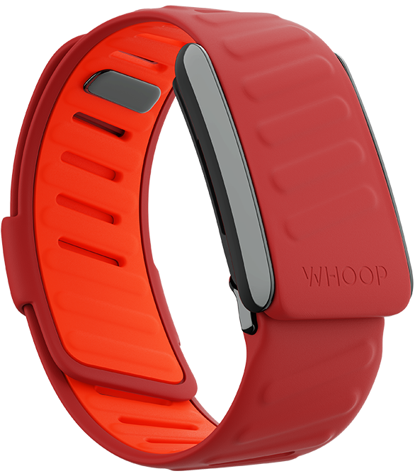 ‫"Red Whoop Sportflex Band – Lightweight, durable, and designed for optimal performance. Shop the best Whoop bands in Qatar. Perfect for fitness tracking and active lifestyles."‬
‫‬
‫"سوار ووب سبورتفلكس الأحمر – خفيف الوزن ومتين، مصمم للأداء الأمثل. احصل على أفضل سيور ووب في قطر. مثالي لتتبع اللياقة وأنماط الحياة النشطة."‬