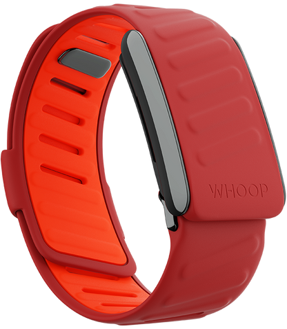‫"Red Whoop Sportflex Band – Lightweight, durable, and designed for optimal performance. Shop the best Whoop bands in Qatar. Perfect for fitness tracking and active lifestyles."‬
‫‬
‫"سوار ووب سبورتفلكس الأحمر – خفيف الوزن ومتين، مصمم للأداء الأمثل. احصل على أفضل سيور ووب في قطر. مثالي لتتبع اللياقة وأنماط الحياة النشطة."‬
